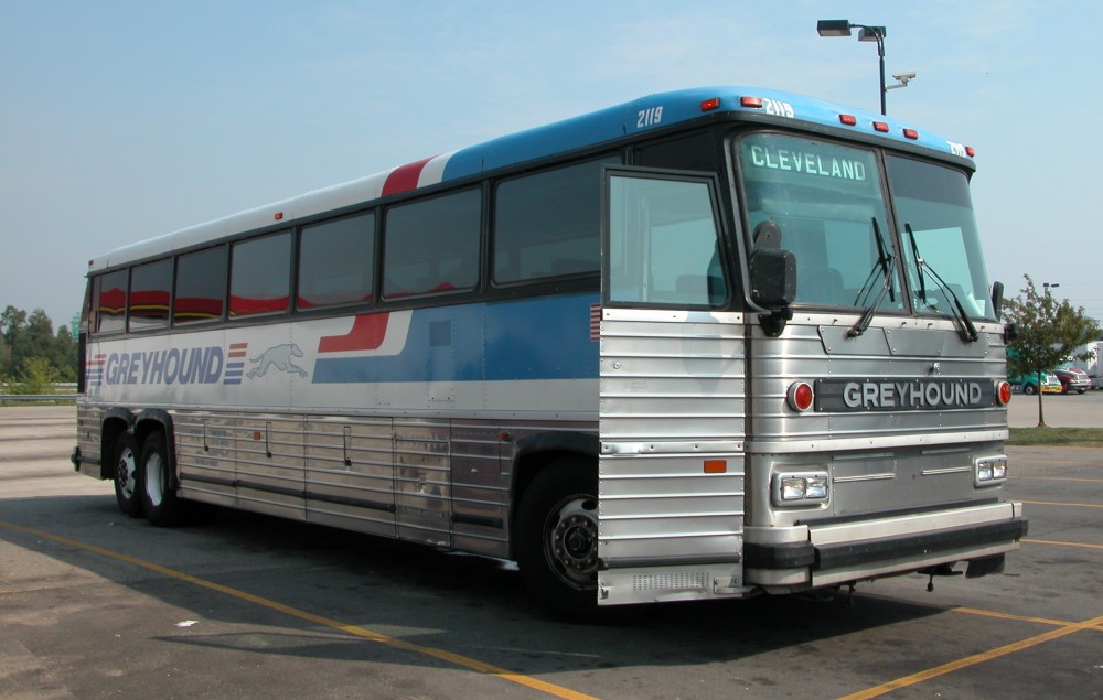 Greyhound