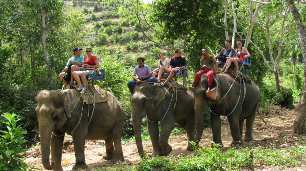 Jungletrekking