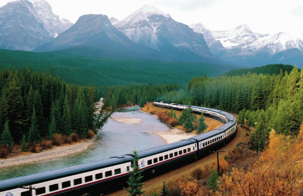 train