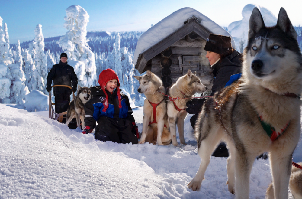 Dogsled